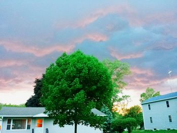 Low angle view of tree against cloudy sky