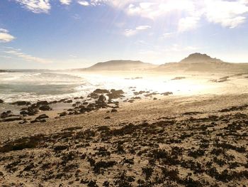 Scenic view of beach against sky