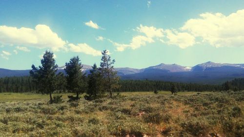 Scenic view of landscape against cloudy sky