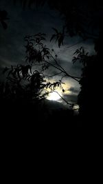 Low angle view of silhouette trees against sky at sunset