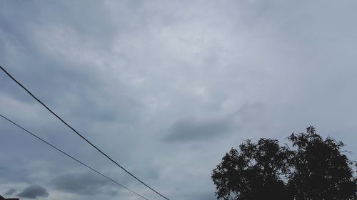 Low angle view of tree against sky