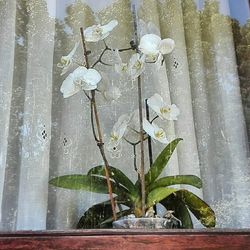 Close-up of wet window during rainy season