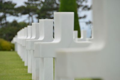 White image of cemetery