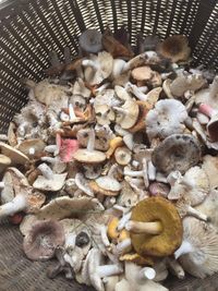 High angle view of mushrooms in basket