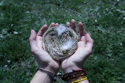 Cropped image of woman hands holding empty bird nest