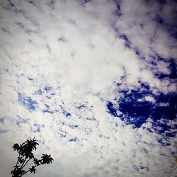 Low angle view of sky