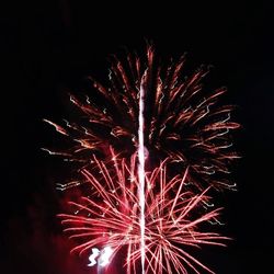 Low angle view of firework display