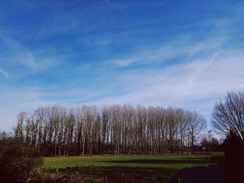 Scenic view of landscape against blue sky