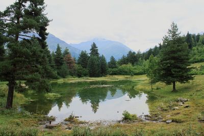 Scenic view of lake by trees against sky