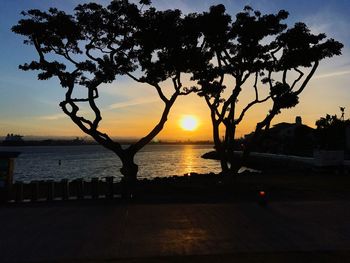 Silhouette tree by sea against sky during sunset