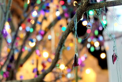 Close-up of illuminated christmas lights