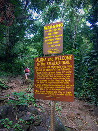 Information sign by trees in forest