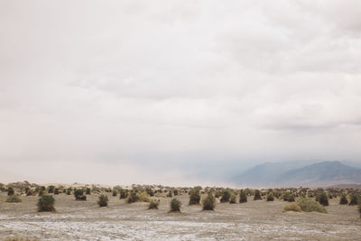 Scenic view of death valley against sky