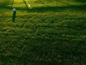 Shadow of person on field