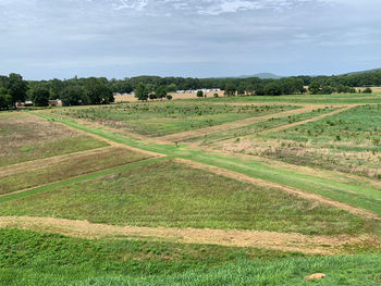 Scenic view of agricultural field against sky