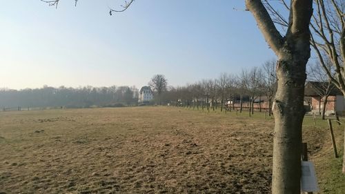 Bare trees on field against sky