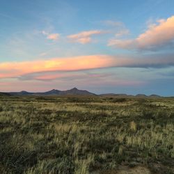 Scenic view of grassy field against sky at sunset