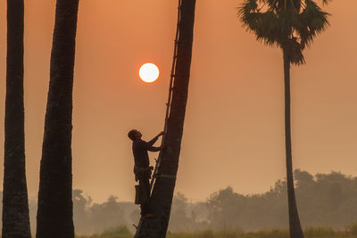 Silhouette man standing by palm trees against sky during sunset