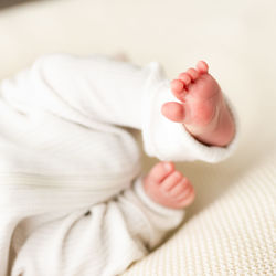 Cropped hand of woman holding dentures