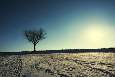 Tree on field against clear sky