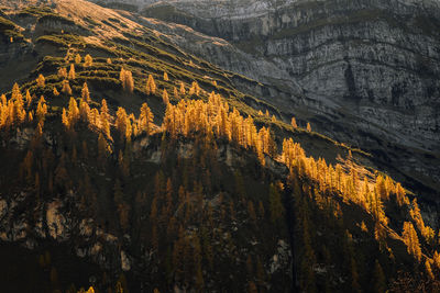 Scenic view of mountains. ahonrboden in autumn, tirol, austria