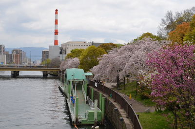 Scenic view of river by trees against sky