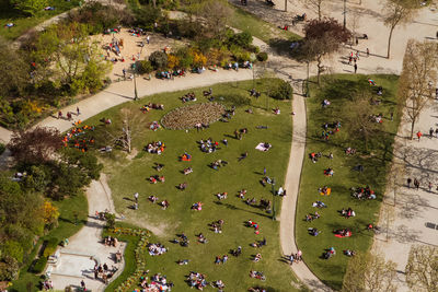 High angle view of trees
