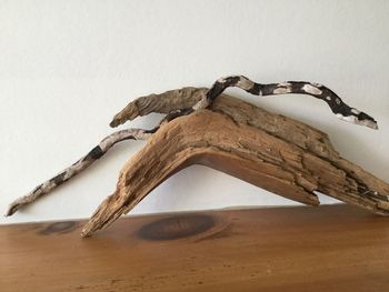 Driftwood on sand against sky