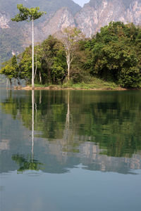 Reflection of trees in lake