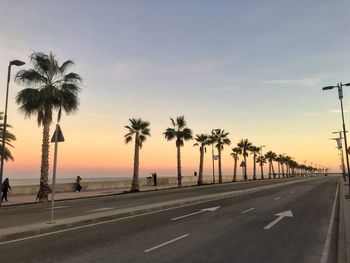 Palm trees by road against sky during sunset