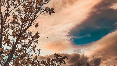 sky