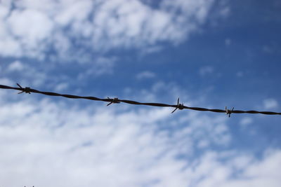 Low angle view of barbed wire against blue sky