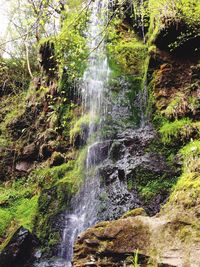 Stream flowing through rocks