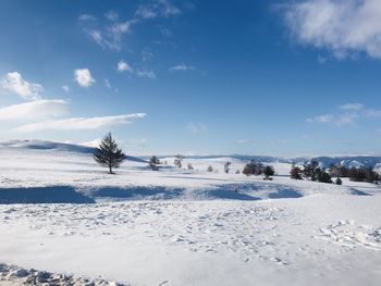 Scenic view of snow covered land against sky