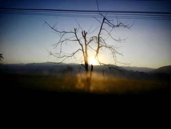 Silhouette tree on field against sky during sunset