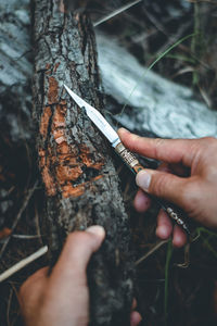 Cropped image of hand holding cigarette