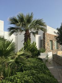 Building with trees in background