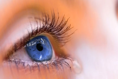 Close-up of woman eye