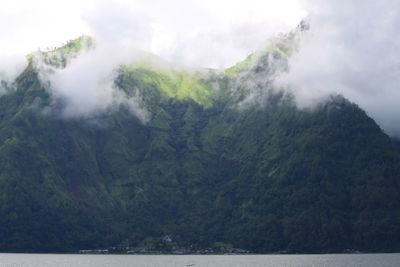Scenic view of trees and mountains against sky
