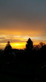 Silhouette of trees at sunset