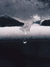 Close-up of melting snow during winter