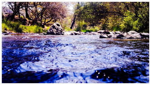 Surface level of water flowing through rocks in forest