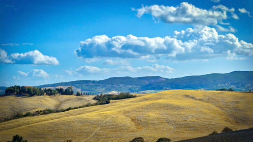 Scenic view of field against blue sky