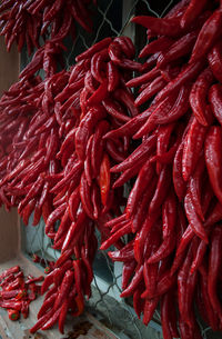 Close-up of red chili peppers for sale at market
