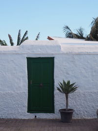 Potted plant against building