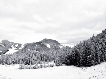 Scenic view of snow covered mountains
