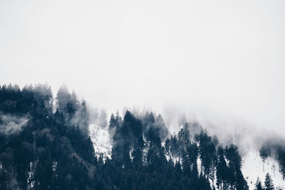 Scenic view of forest against sky during winter