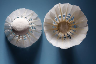 High angle view of white flower on table