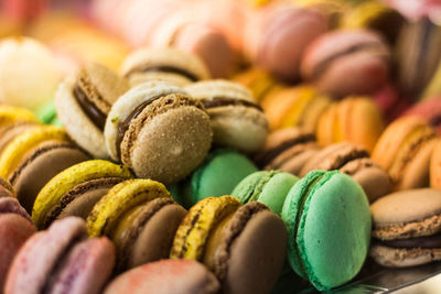 Close-up of multi colored macaroons