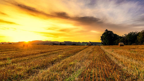 Scenic view of field against sky during sunset